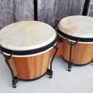 Bongo Drum