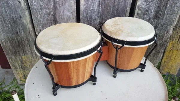 Bongo Drum