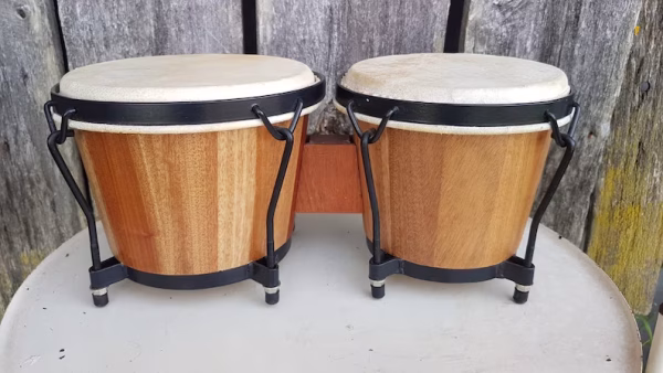 Bongo Drum - Image 3